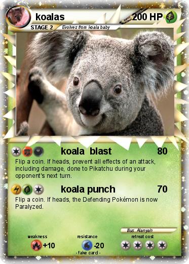 Pokemon koalas