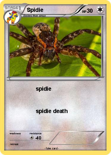 Pokemon Spidie