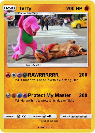 Pokemon Terry