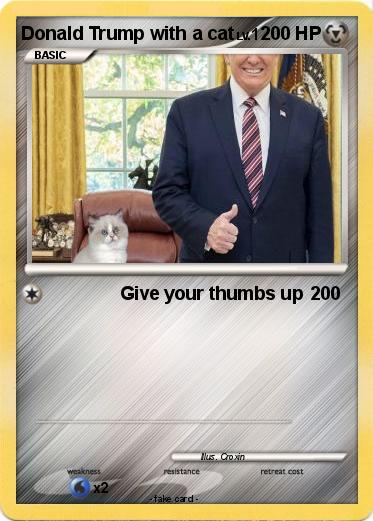 Pokemon Donald Trump with a cat