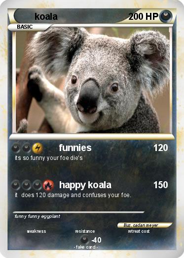 Pokemon koala