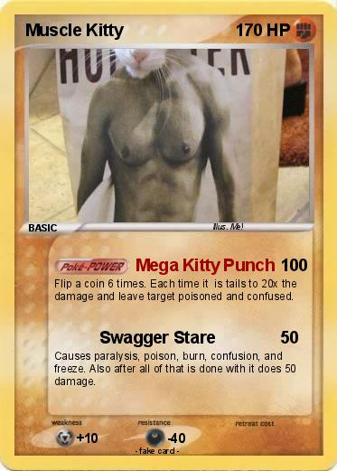 Pokemon Muscle Kitty