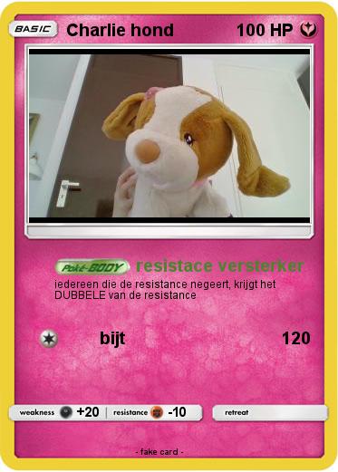 Pokemon Charlie hond