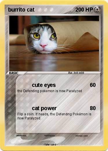Pokemon burrito cat