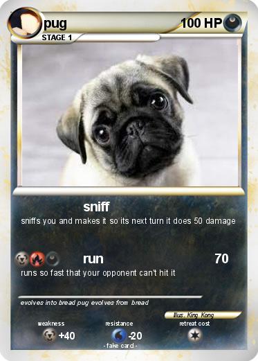 Pokemon pug