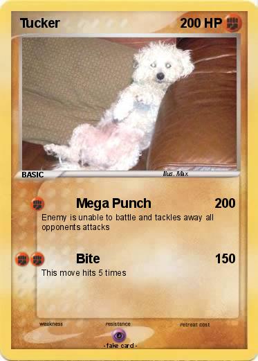 Pokemon Tucker