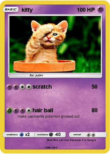 Pokemon kitty