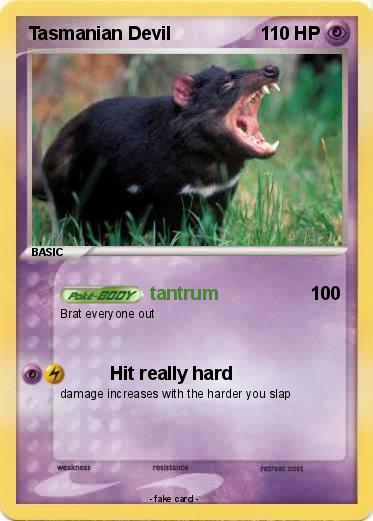 Pokemon Tasmanian Devil