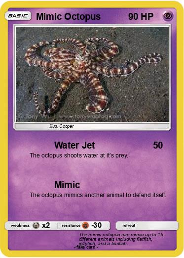 Pokemon Mimic Octopus
