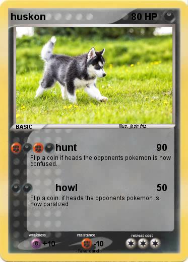 Pokemon huskon