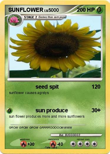 Pokemon SUNFLOWER