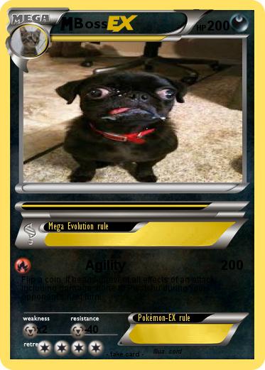 Pokemon Boss