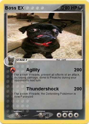 Pokemon Boss EX