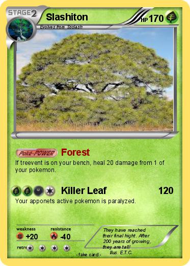 Pokemon Slashiton