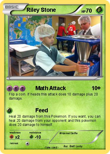 Pokemon Riley Stone