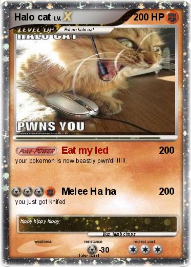 Pokemon Halo cat