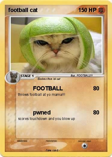 Pokemon football cat