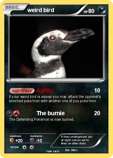 Pokemon weird bird