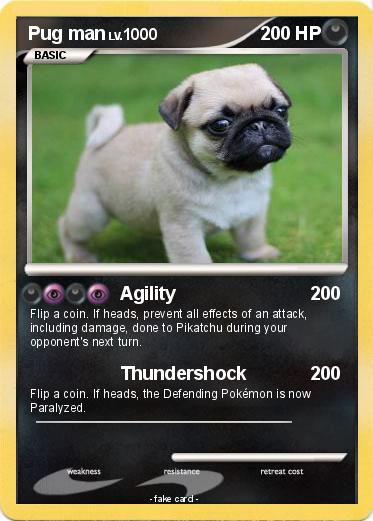 Pokemon Pug man