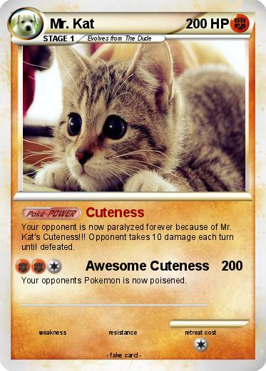 Pokemon Mr. Kat