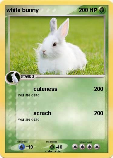 Pokemon white bunny