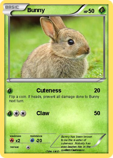Pokemon Bunny