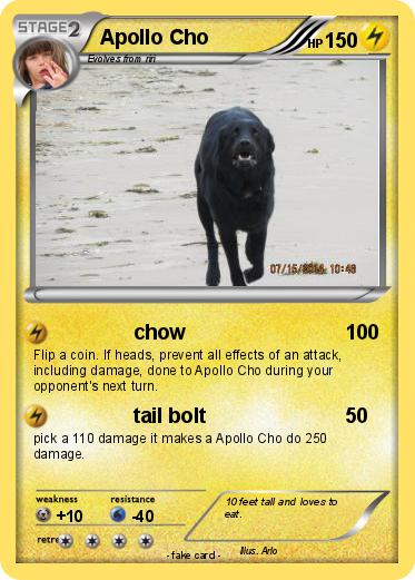 Pokemon Apollo Cho