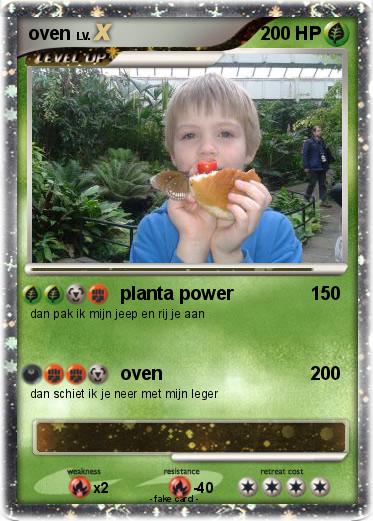 Pokemon oven