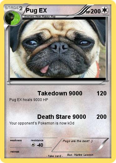 Pokemon Pug EX