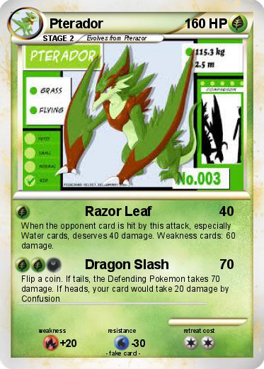 Pokemon Pterador
