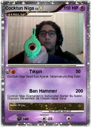 Pokemon Cocktun Niga