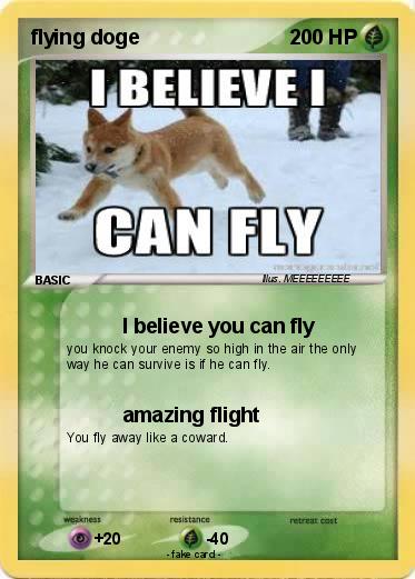 Pokemon flying doge