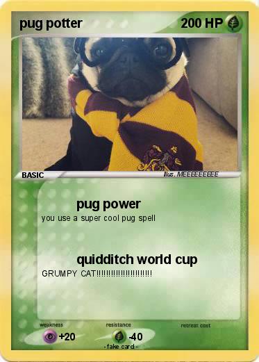 Pokemon pug potter