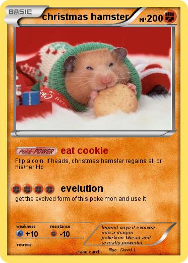 Pokemon christmas hamster