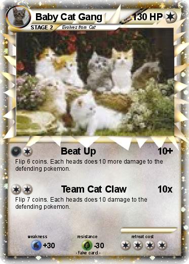 Pokemon Baby Cat Gang