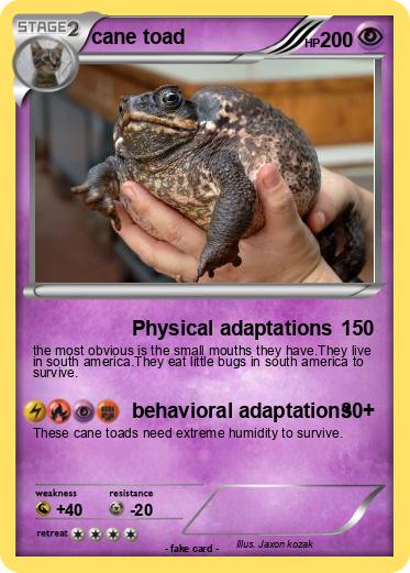 Pokemon cane toad