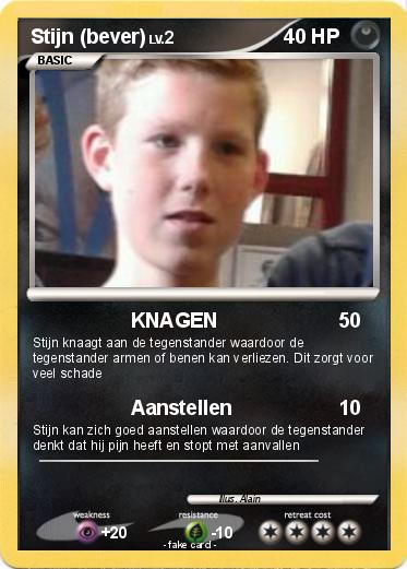 Pokemon Stijn (bever)