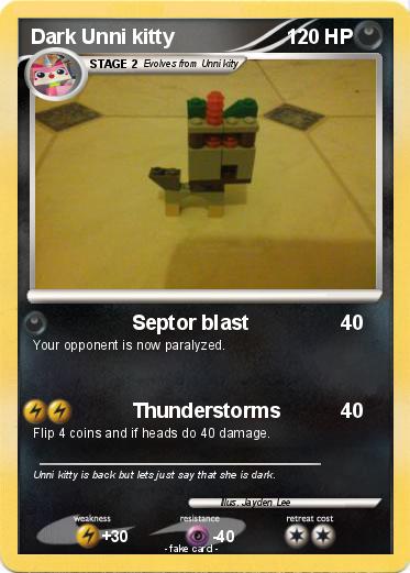 Pokemon Dark Unni kitty