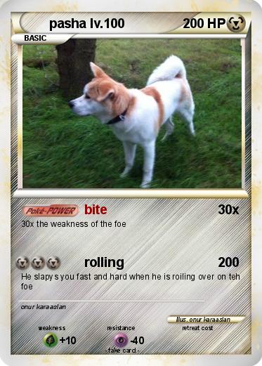 Pokemon pasha lv.100