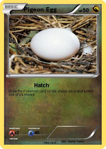 Pokemon Pigeon Egg