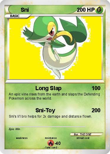 Pokemon Sni