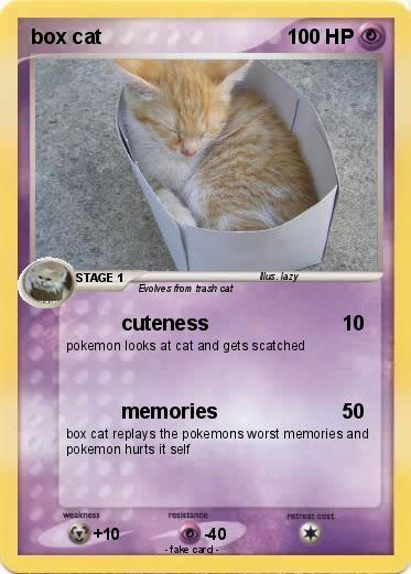 Pokemon box cat