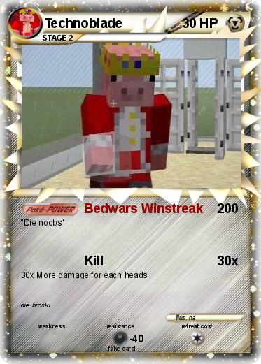 Pokemon Technoblade