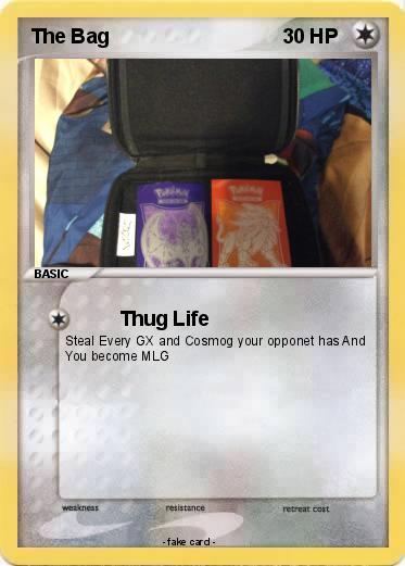 Pokemon The Bag