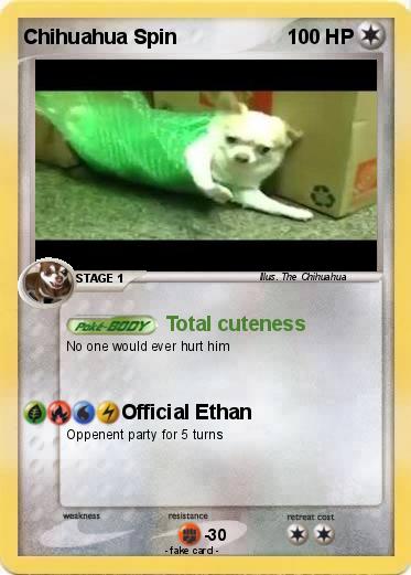 Pokemon Chihuahua Spin