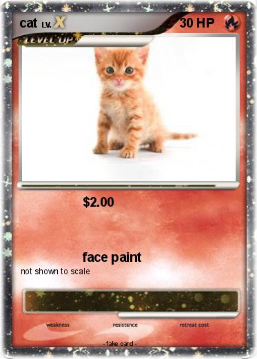Pokemon cat