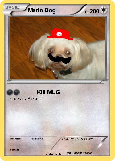 Pokemon Mario Dog