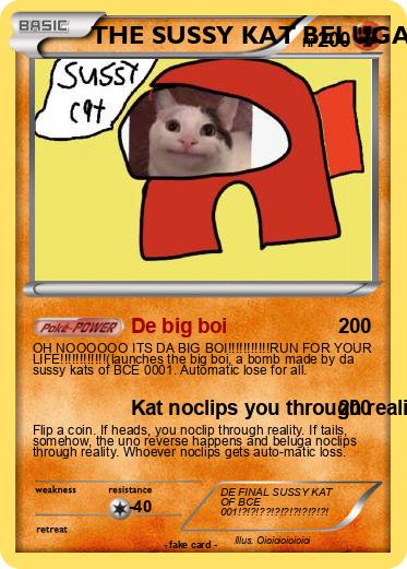 Pokemon THE SUSSY KAT BELUGA