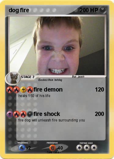 Pokemon dog fire
