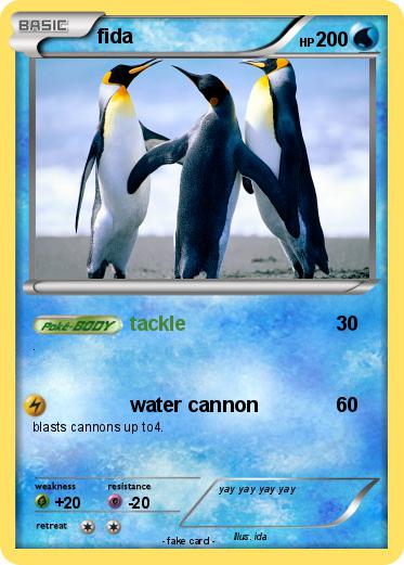 Pokemon fida